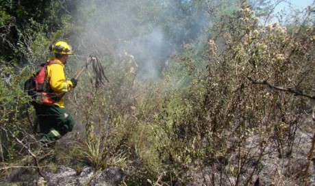 Prohben realizar quemas en el territorio entrerriano hasta el 28 de febrero
