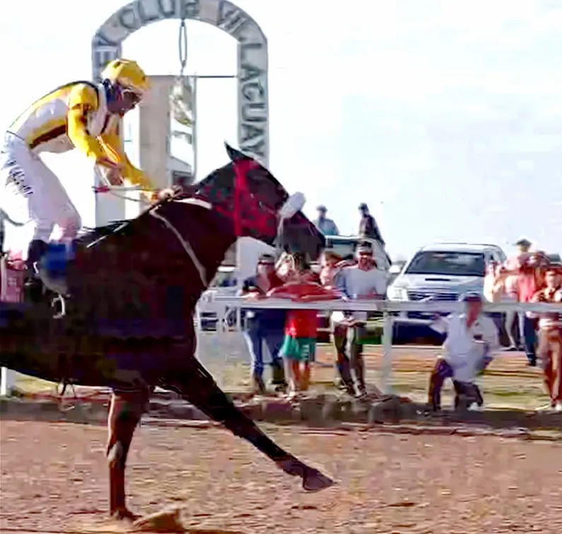 El Clsico Santa Rosa de Lima lo gan Fire Class con la monta del Jockey Nelson Lalanda de Lucas Norte