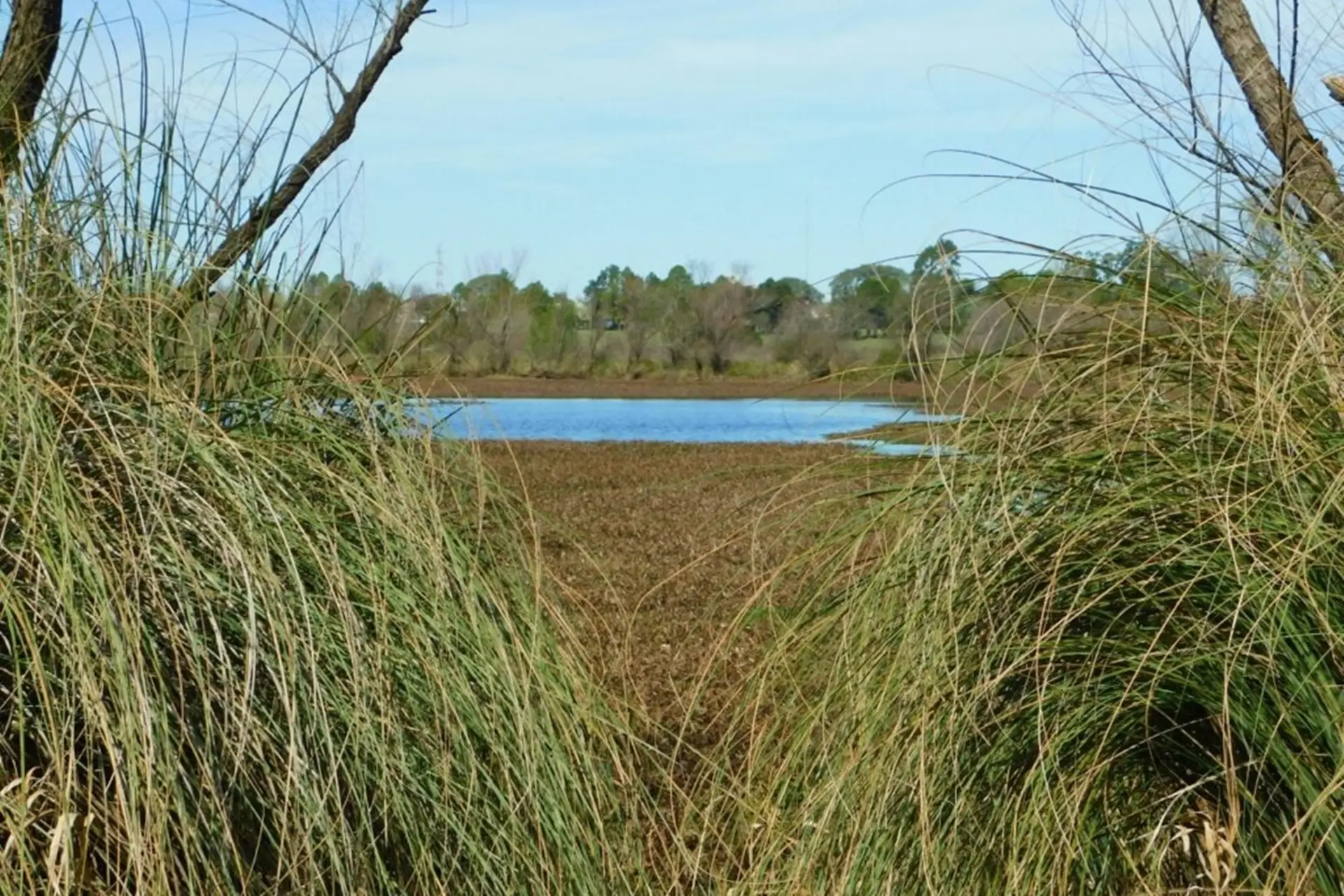 Entre Ros ser sede de un foro cientfico nacional sobre estudio de los mamferos