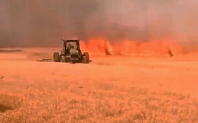 Incendio de un campo en Lucas Norte. Se quemaron 80 hectreas