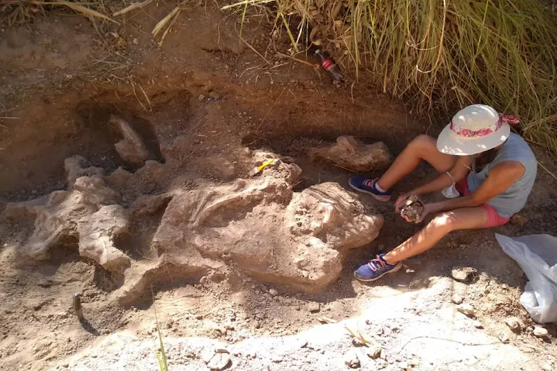 El museo Antonio Serrano participa del Congreso de la Asociacin Paleontolgica Argentina  