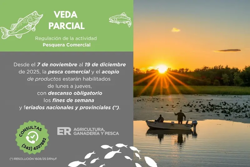 El gobierno redujo ms del 60 por ciento el cupo de extraccin de pescado para el ltimo trimestre de 2025