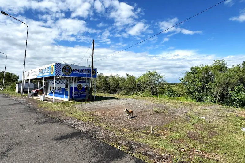 Concluy el ordenamiento y traslado de vehculos secuestrados en ruta nacional 12