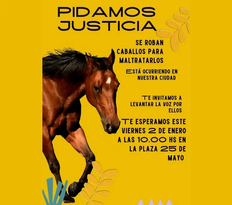 Convocan a una protesta por maltrato a caballos