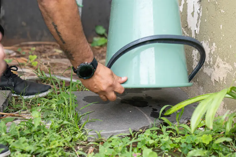 Salud recuerda la importancia de sostener el descacharrizado para prevenir el dengue