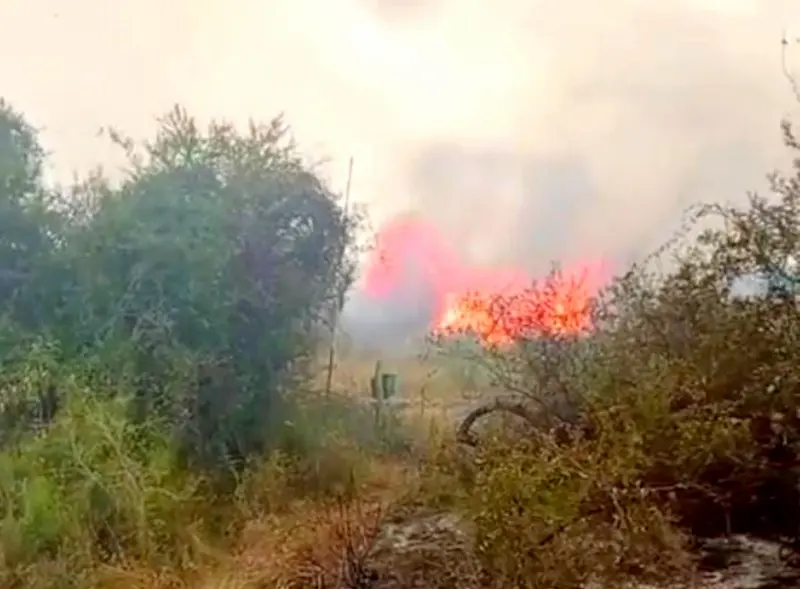 Se reaviv� el incendio en Ra�ces Este