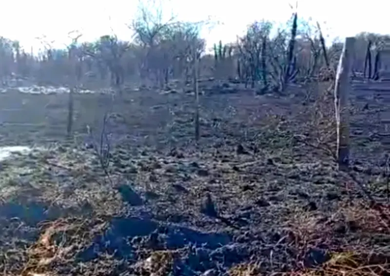 Se quemaron m�s de 400 hect�reas en Ra�ces Este