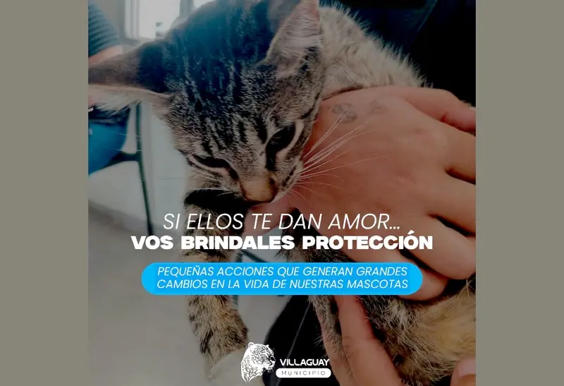 Si ellos te dan amor� vos br�ndales protecci�n