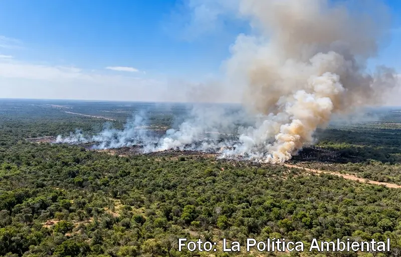 Bosques Nativos: La Justicia ordena restaurar un campo talado en Villaguay