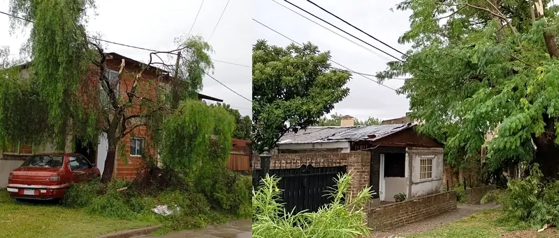 Calle Rocha: R�fagas de viento fuertes arrancaron ramas de �rboles y rompieron el techo de una casa