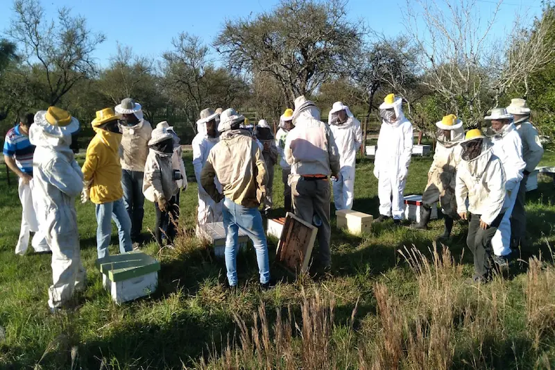 Aprobaron un cr�dito internacional para fortalecer la cadena ap�cola entrerriana