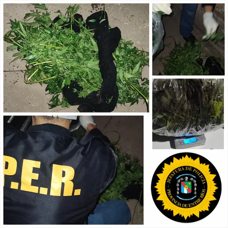 Detenido por amenazas tentativa de robo en flagrancia y tenencia de estupefacientes