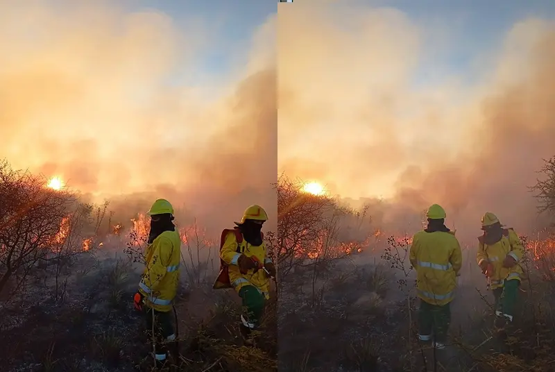 Bomberos de Villa Dom�nguez intervinieron en incendio forestal