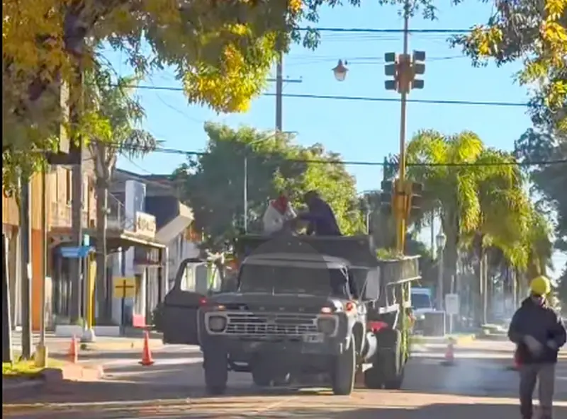 Capacitaci�n pr�ctica en poda urbana