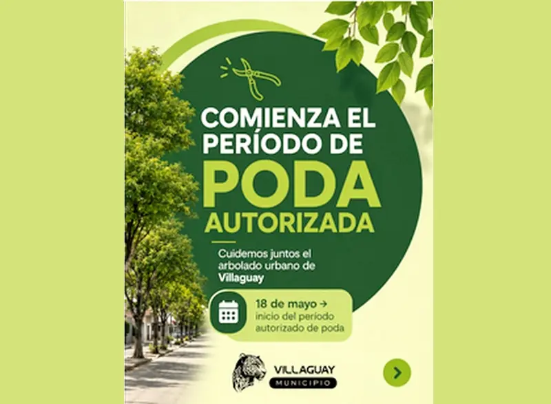 Comenz� el per�odo de poda autorizada en Villaguay