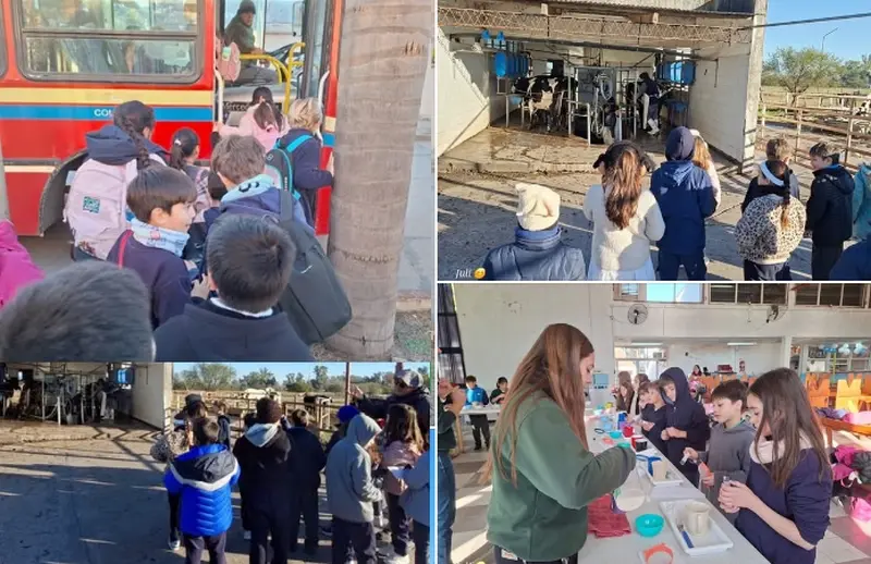 Escuela Primaria N�1 Bartolom� Mitre: Proyecto Manos que producen