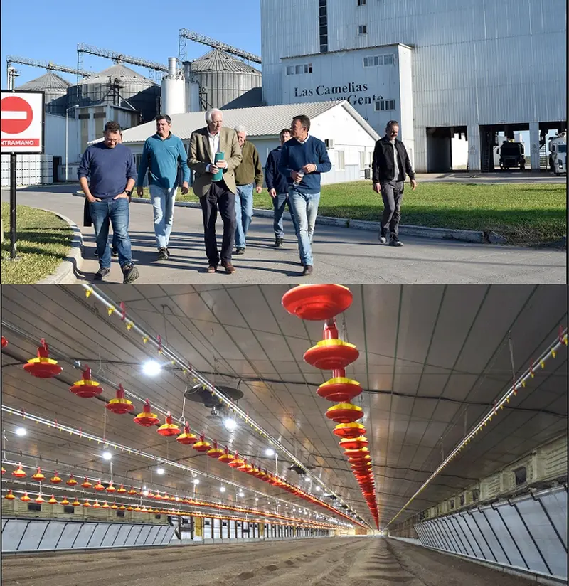 Inversi�n av�cola en Villaguay suma desarrollo en bioseguridad con tecnolog�a de punta