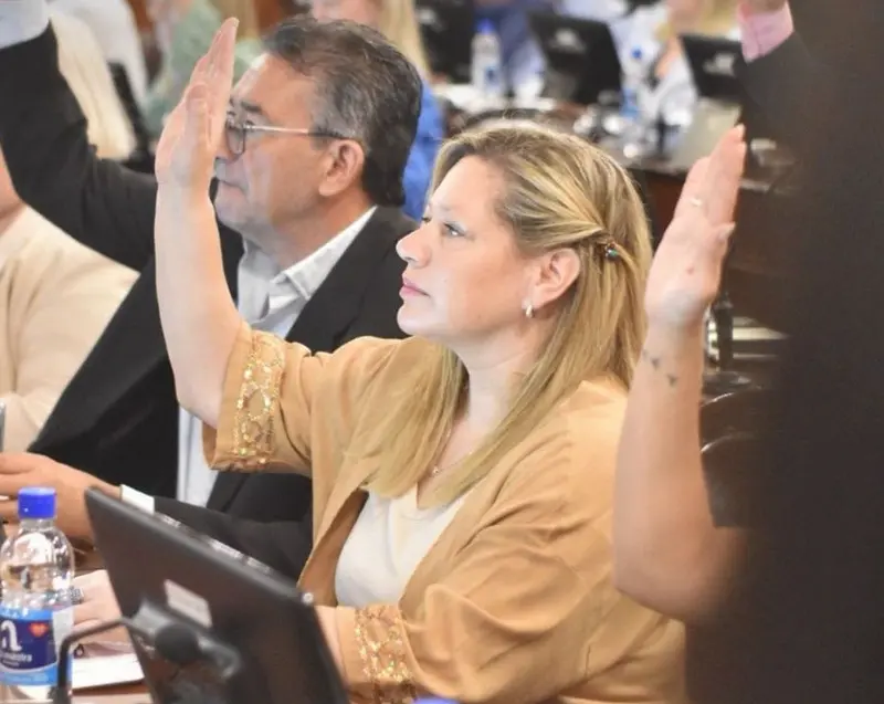La Diputada Mariana Bentos promovi� el reconocimiento al 20� Encuentro para Personas con Discapacidad