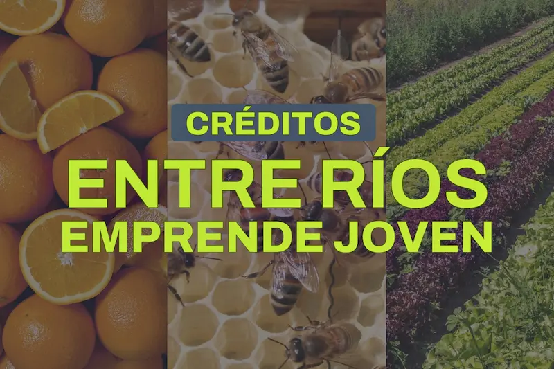 Abri� la convocatoria del programa Entre R�os Emprende Joven