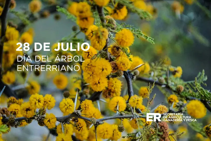 D�a del �rbol Entrerriano: destacan el valor de las especies nativas para la producci�n y la conservaci�n