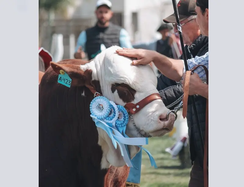 Comienza a vivirse la 99� Expo rural de Villaguay
