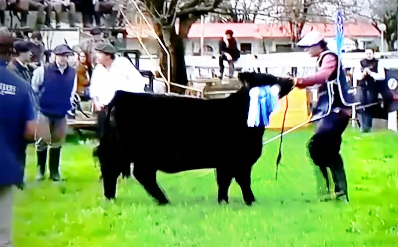 La Expo Rural de Villaguay en marcha