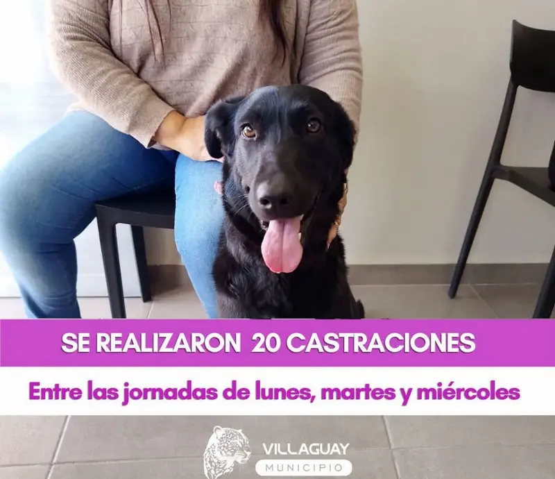 Se realizaron 20 castraciones en tres jornadas