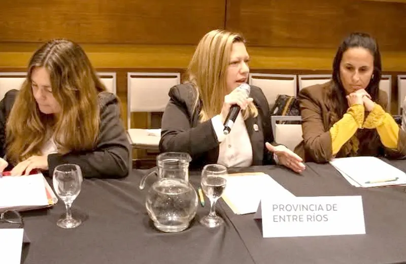 Mariana Bentos particip� en el VI Encuentro Nacional de Legisladores Provinciales por los Derechos de las Ni�as, Ni�os y Adolescentes