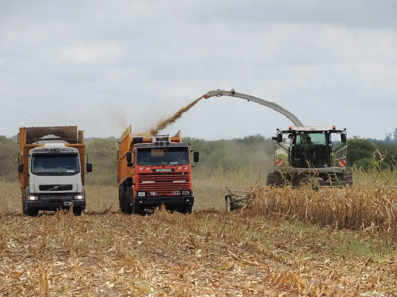 La provincia puso en vigencia el nuevo r�gimen ambiental para la actividad productiva de Entre R�os