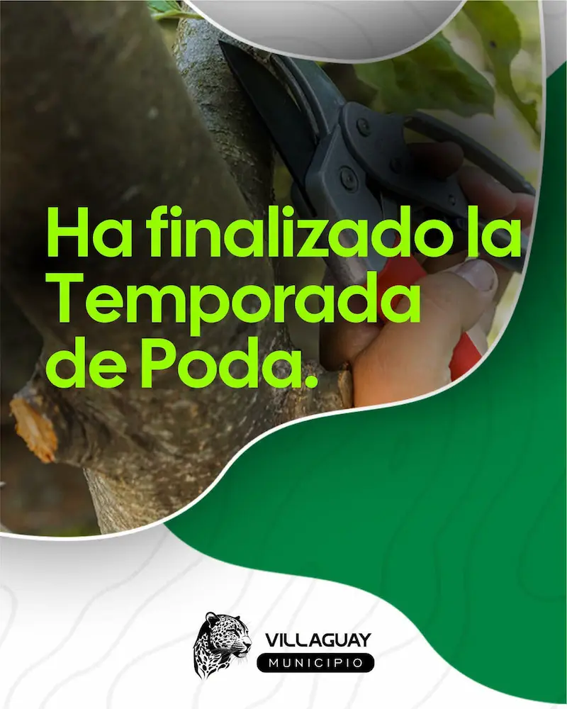 Finaliz� la temporada de poda