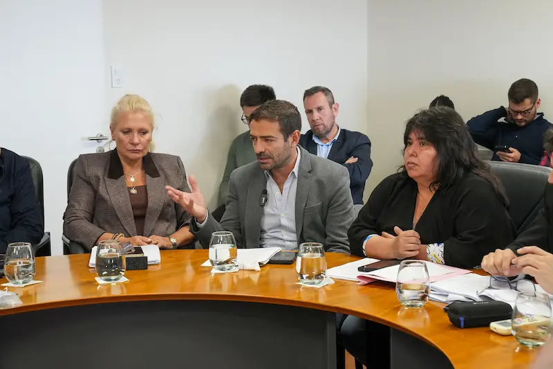 Blanzaco expuso ante el Senado el trabajo que desarrolla la provincia en materia de salud mental