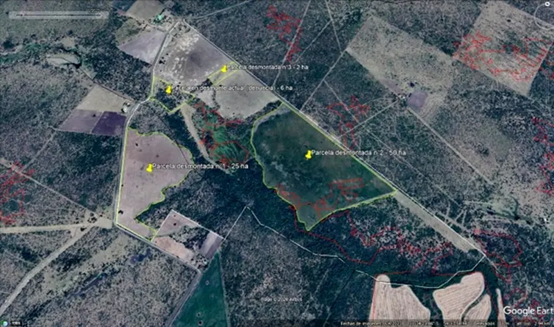 Impresionante desmonte en Mojones Sud sin respuestas de Bosques Nativos