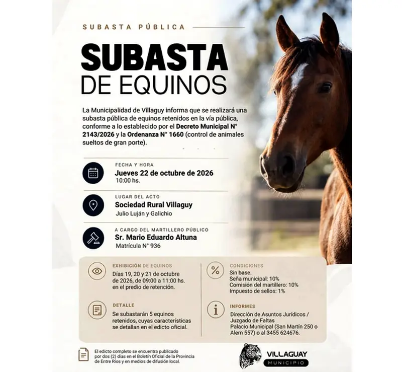Subasta p�blica de equinos