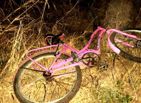 RECUPERAN BICICLETA SUSTRADA