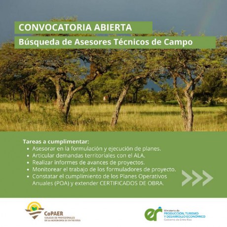 Bosque Nativo: Convocan a profesionales para integrar un equipo tcnico