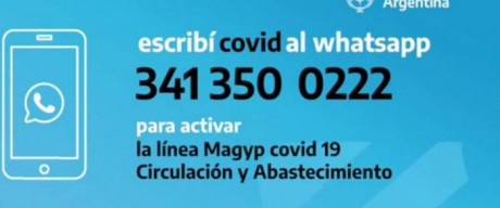 Presentaron la lnea gratuita COVID-19 para transportistas y choferes de carga