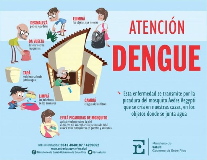 Reiteran Recomendaciones Para Evitar La Proliferación Del Dengue 5717