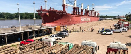 La exportacin forestal a travs de los puertos entrerrianos ha generado ms de 3.000 millones de pesos