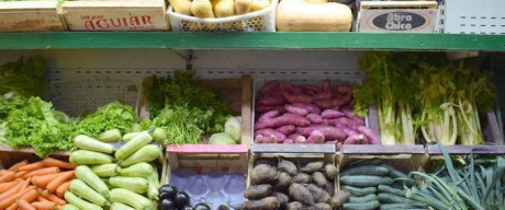 Salud analiz la calidad nutricional de los productos de la Canasta Bsica Alimentaria