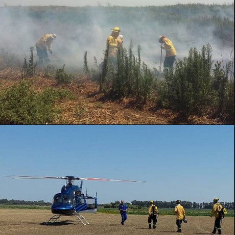 Se mont un operativo para combatir los nuevos focos de incendio registrados en islas del Delta