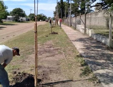 EN EL TRANSCURSO DEL AO SE PLANTARON CASI 400 ESPECIES DE ARBOLES