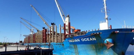En el puerto de Ibicuy se cargan 34.000 toneladas de madera de pino para exportar a China